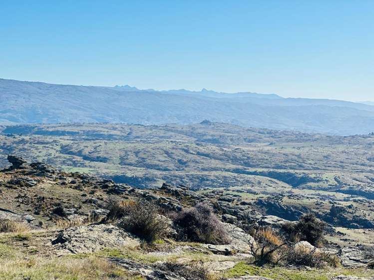 1109 Little Valley Road Alexandra_7