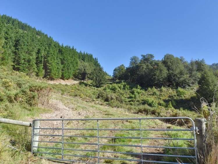 446 Glentui Bush Road Glentui_33