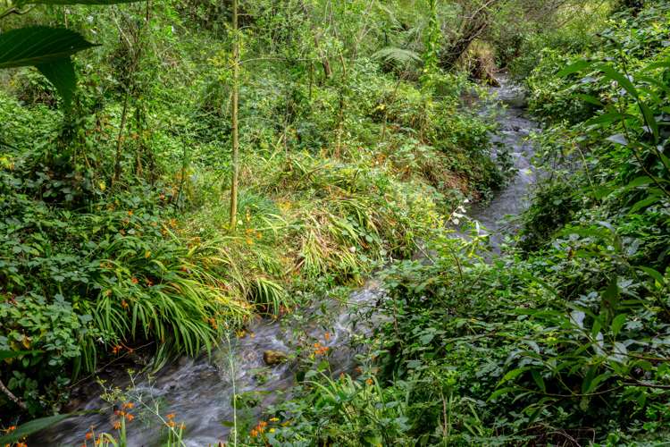 80 Johnston Street Featherston_17