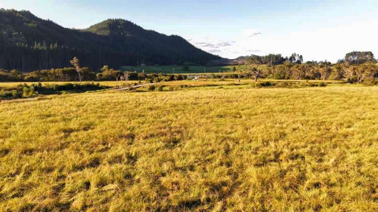 455 Hikuai Settlement Road Hikuai_11