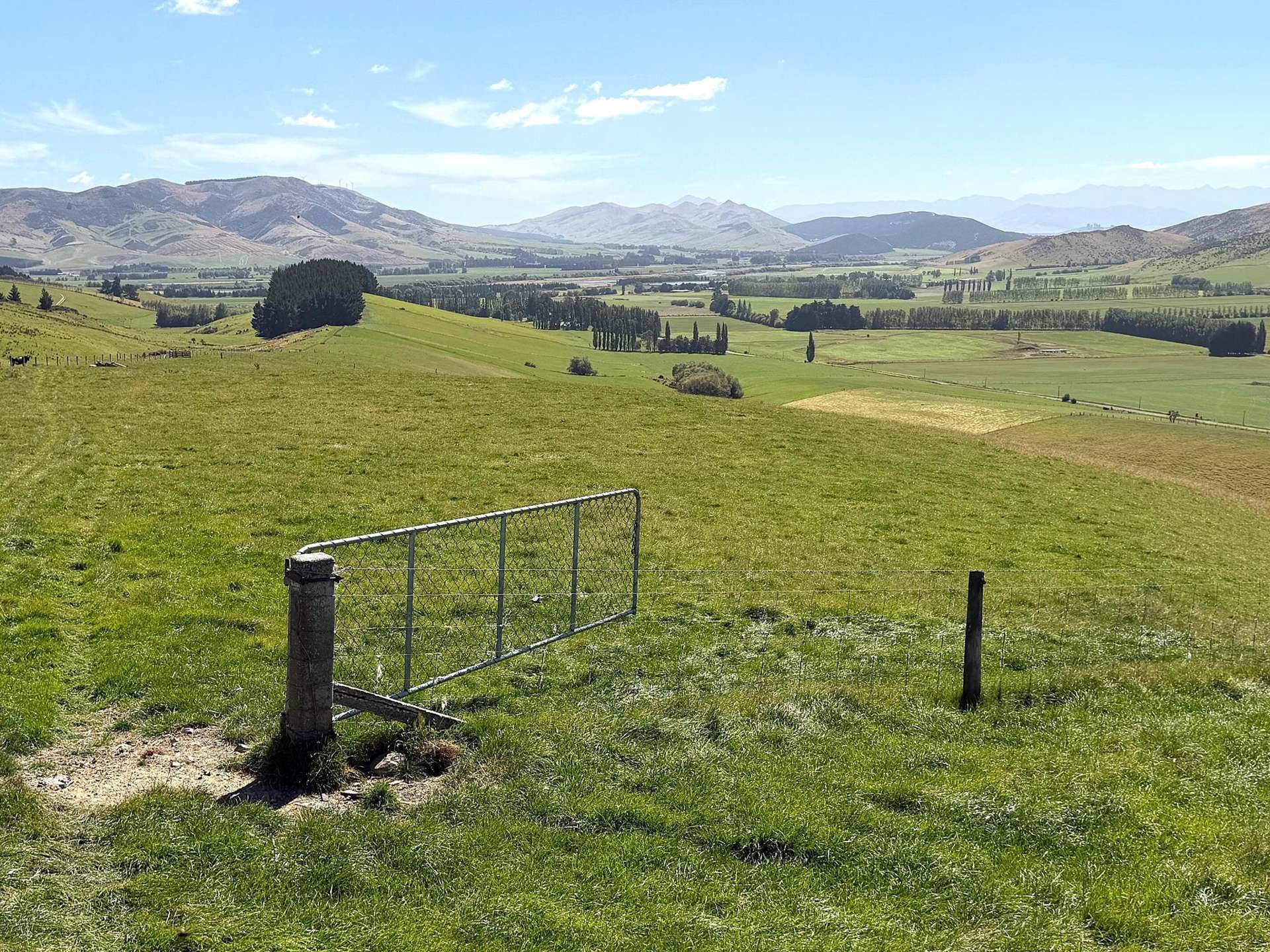 Caroline Valley Road Dipton_0