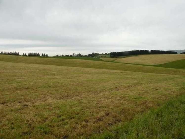 249 Ashley Downs Road Clinton and Surrounds_7