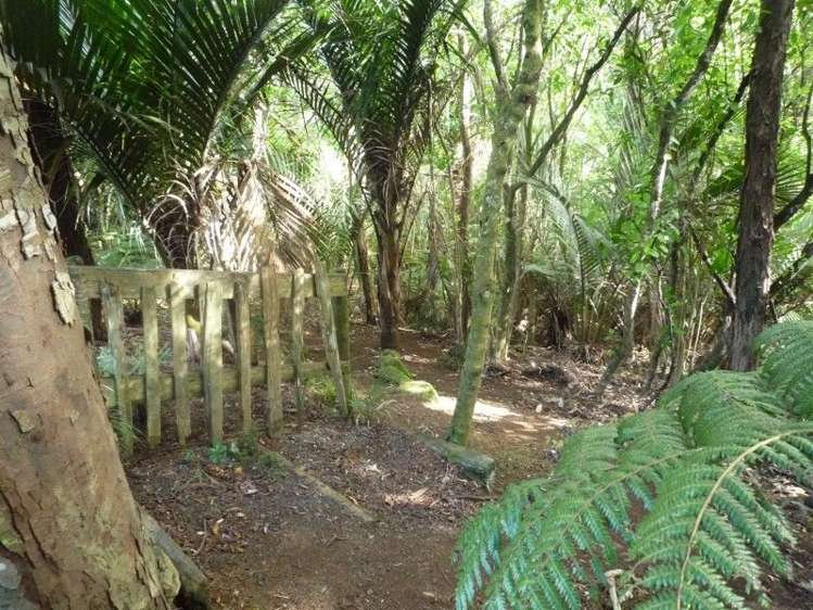 21 Punga Place Whitianga_31