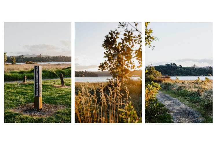 164 Harbour Road Ohope_31