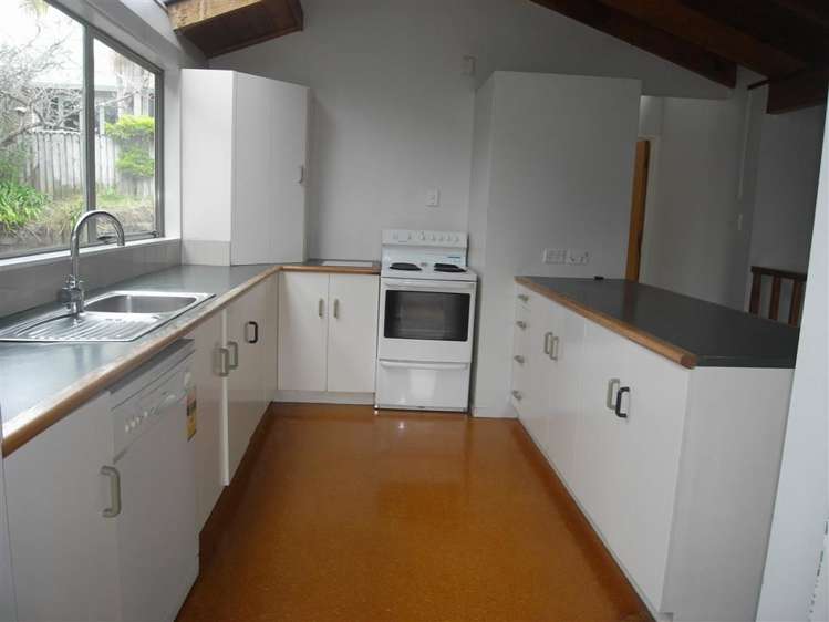 36a Cradock Street Avondale_1