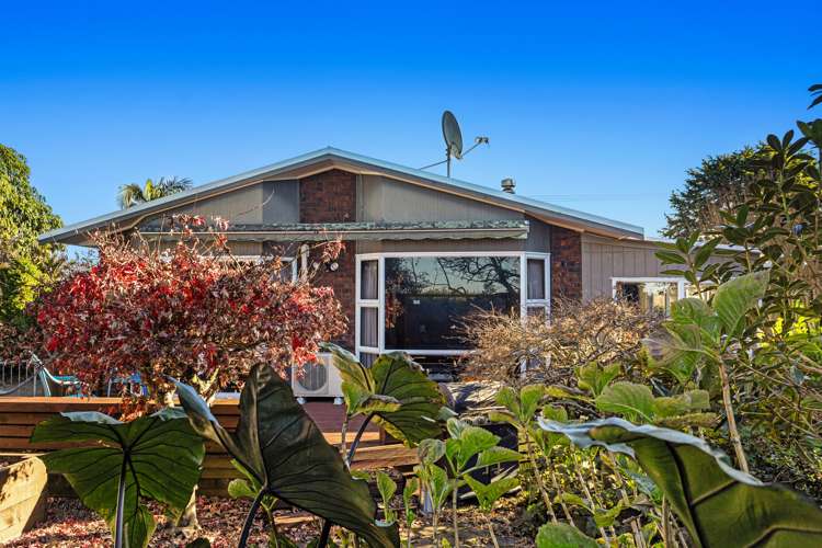 81 College Road Edgecumbe_15