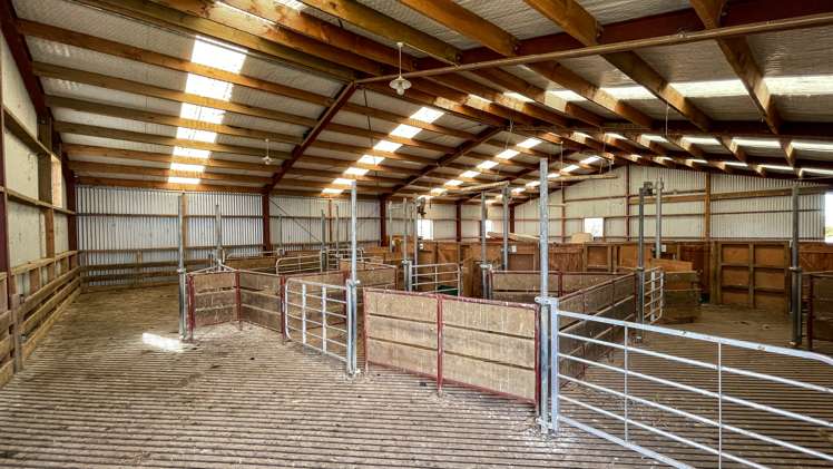 55 McGill Road Te Tipua_10
