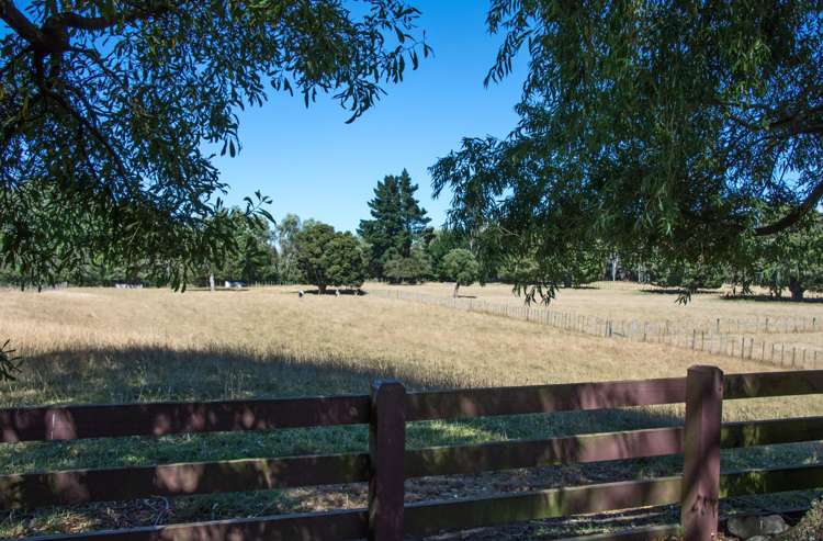 317 West Bush Road Upper Plain_14