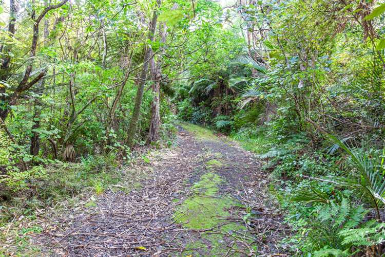 486 Tuateawa Road Tuateawa_12