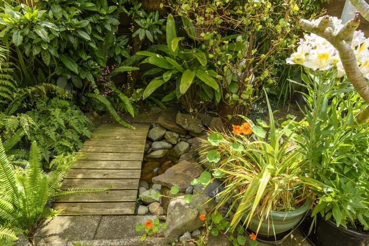 9a Strathmore Way Matua_17