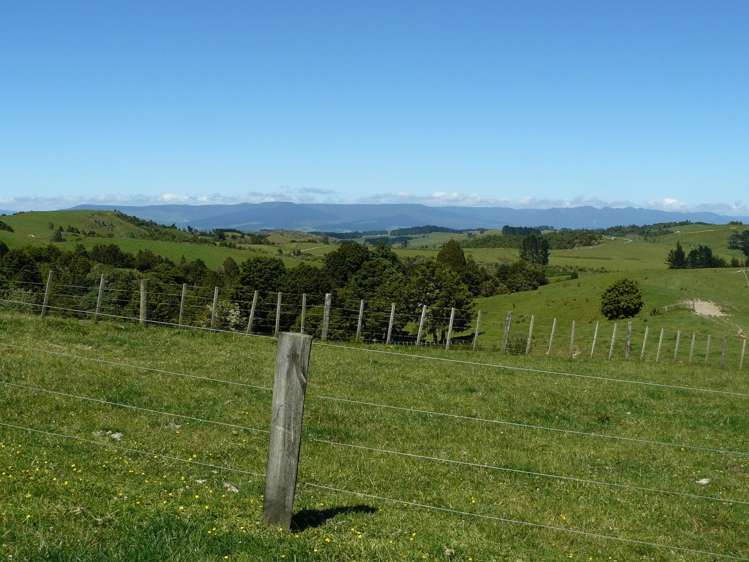 658 Lake Road Kaikohe_6