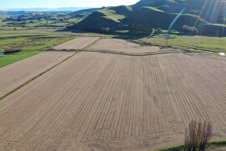 2813 Middle Road Patangata_6