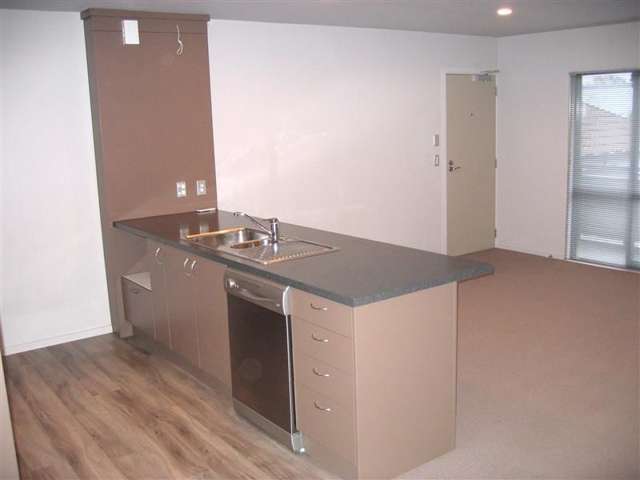 4/38 Brockworth Place Riccarton_1