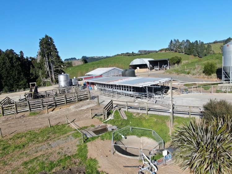 480 O'Shea Road Pirongia_7