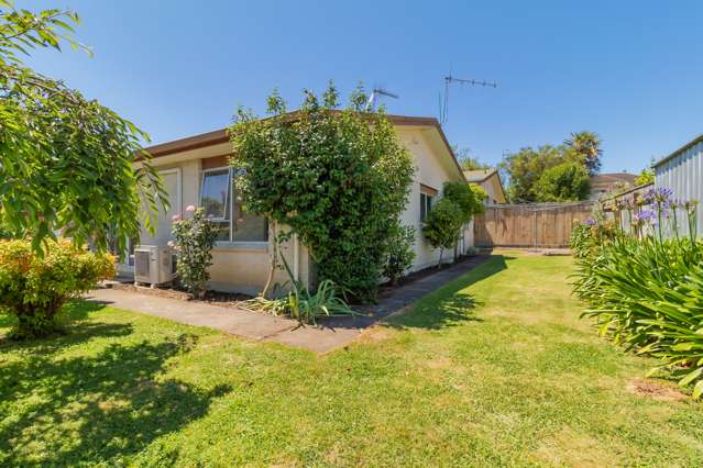 58a Te Mata Road Havelock North_1