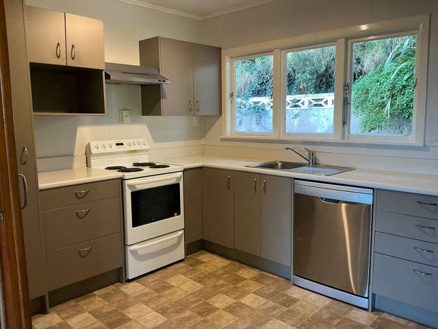 1 Mace Street Island Bay_4