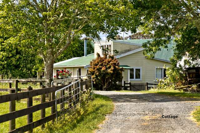 247 Ararimu Valley Road Helensville_3