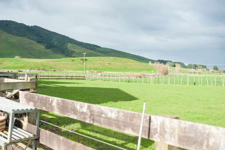 15 Morgan Road Te Awamutu_8