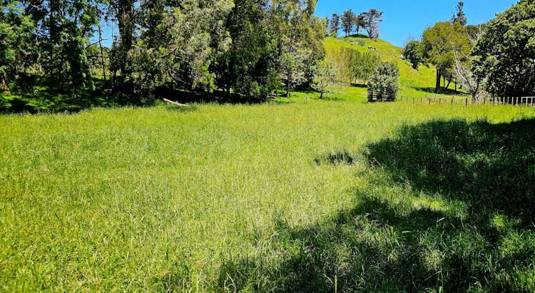 350A Bothwell Park Road Otaua_22