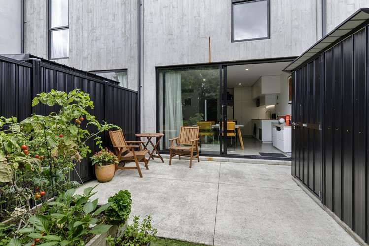 13 Te Ara O Paetutu Petone_18