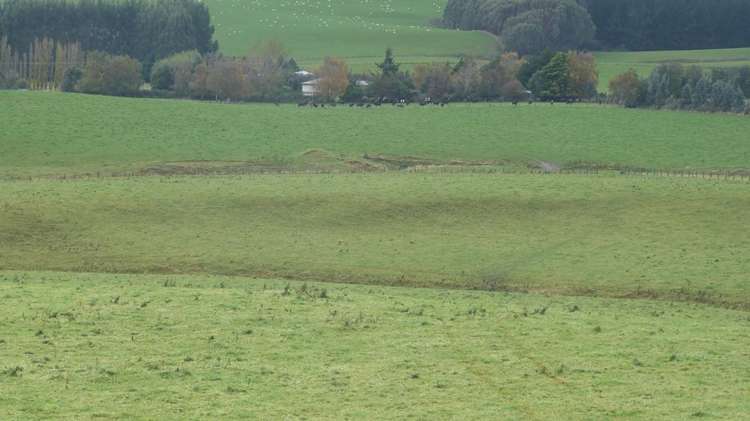 44 Rodgers Road Catlins Surrounds_43