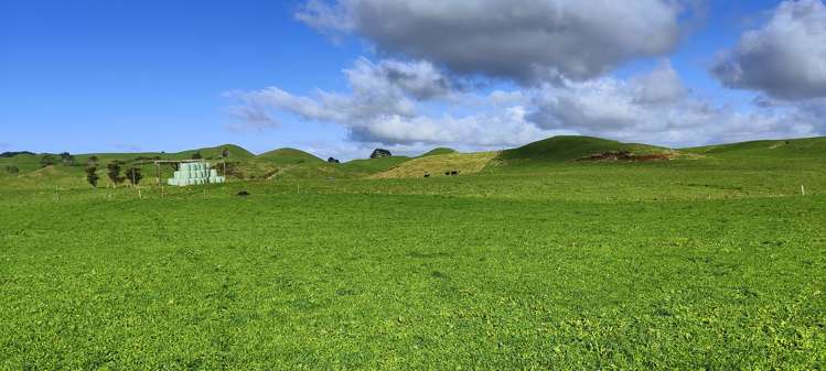 Parihaka Road Pungarehu_14