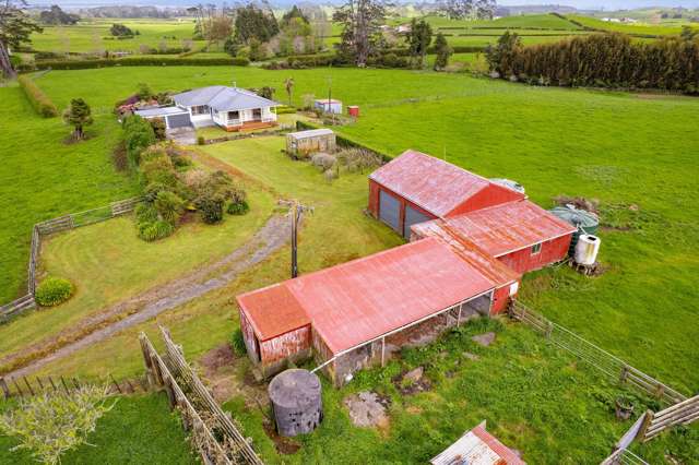 From Town Buzz to Country Stillness