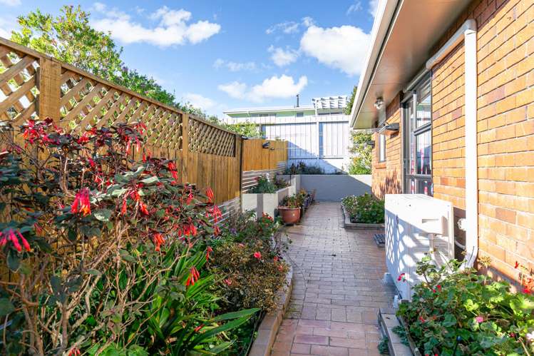11A Roy Street_5