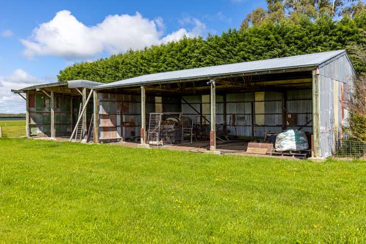 3239 Thompsons Track Ashburton Forks_11