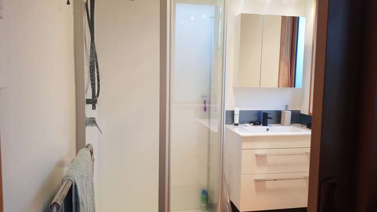 14 Windsor Street Allenton_7