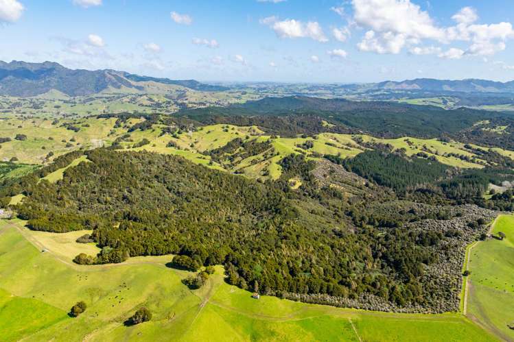 Baker Road Maungatapere_13