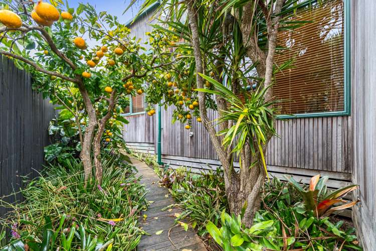 9 Lorimer Lane Hillcrest_19