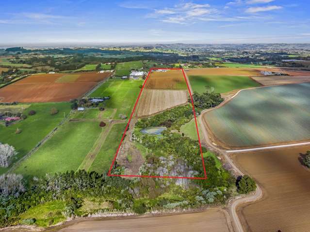 87 Mill Road Pukekohe East_2