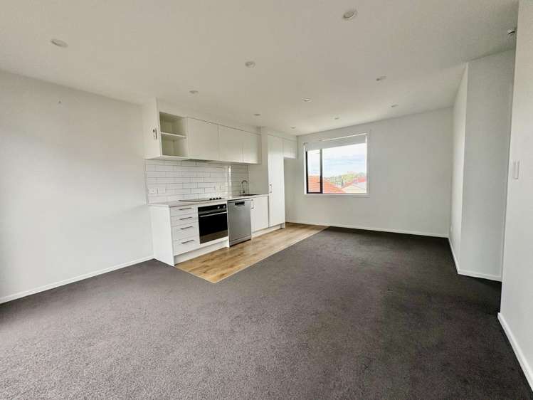 12/1 Fruitvale Road 1732_2