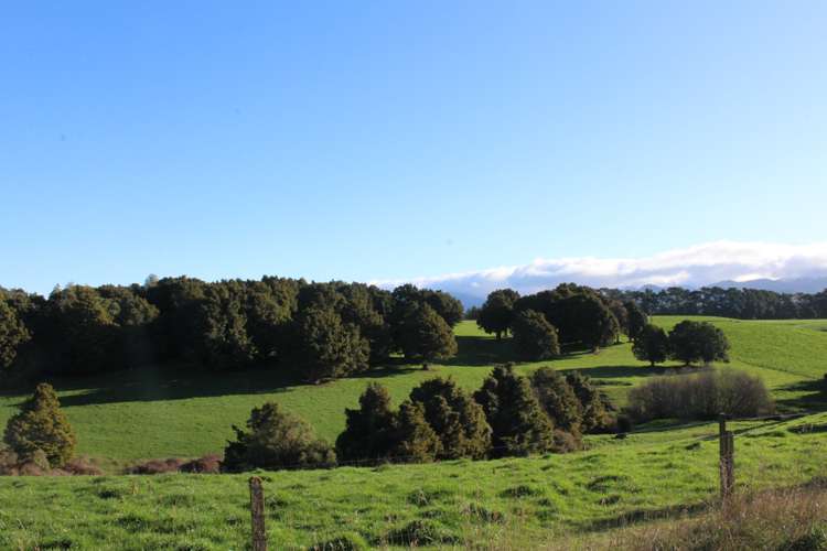 109 Vaughan Road Takapau_9