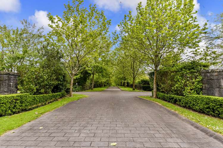 41 Postman Road Dairy Flat_18