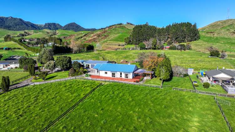 84 Puriri Valley Road_0