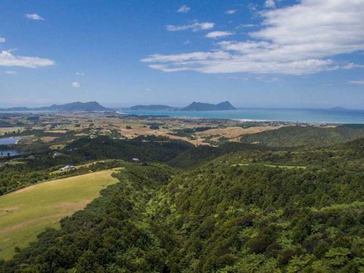 442 Prescott Road Ruakaka_0