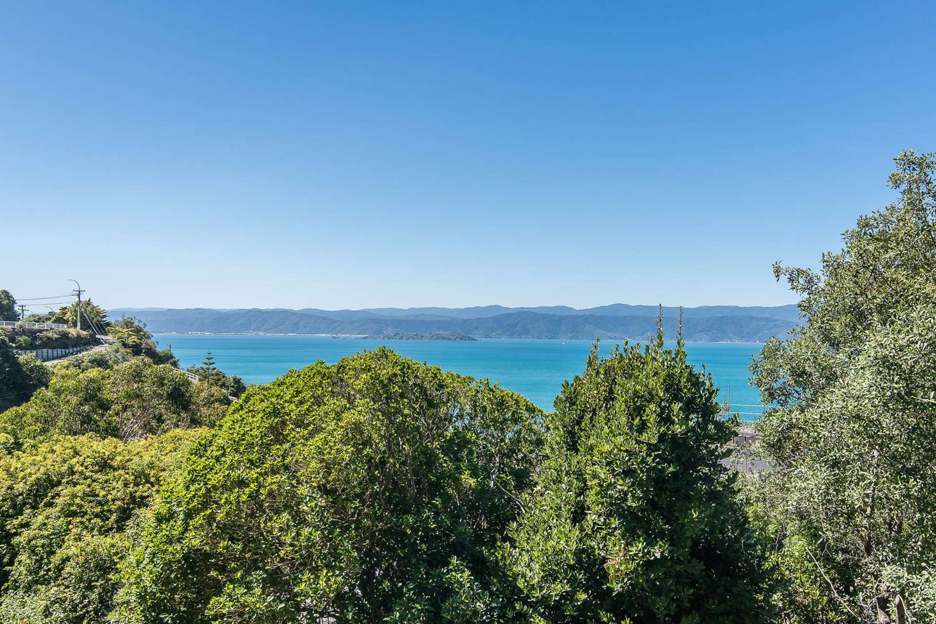 78 Barnard Street Wadestown_0