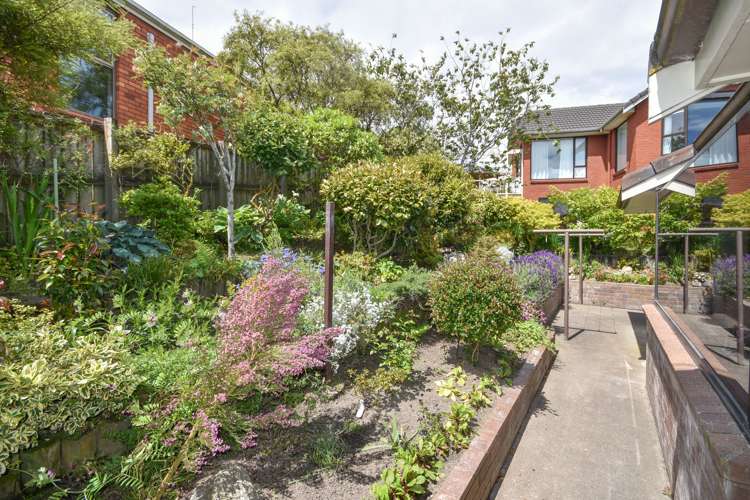 10a Glenfinnan Place Andersons Bay_16