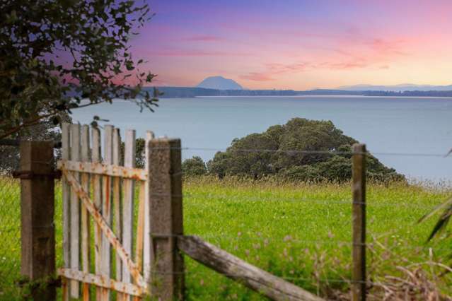 2 Princes Street, Kauri Point Katikati_2