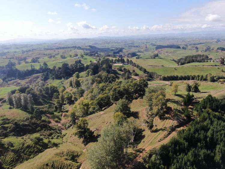 284 Owaikura Road Otorohanga_10