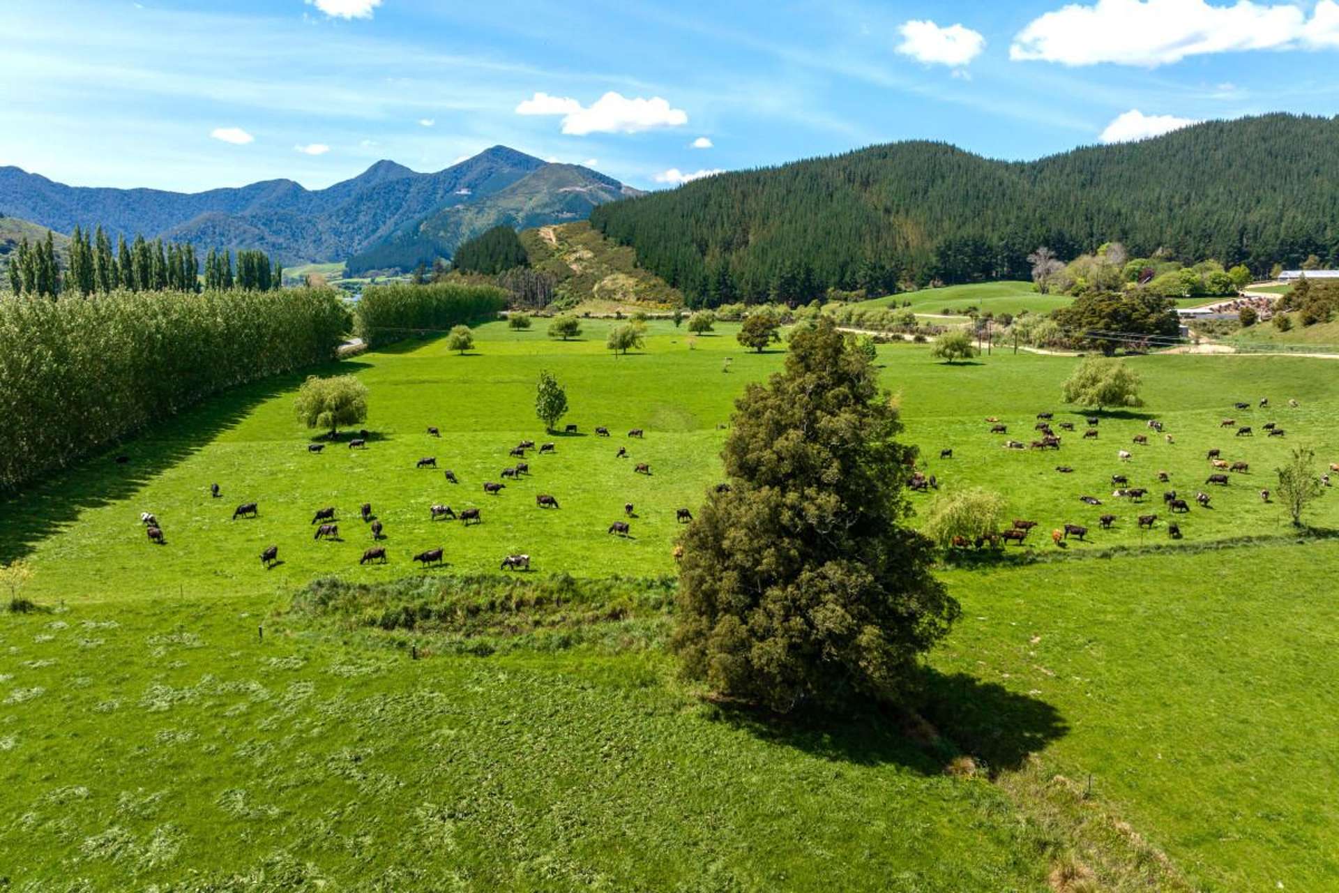 5301 State Highway 6 Havelock_0