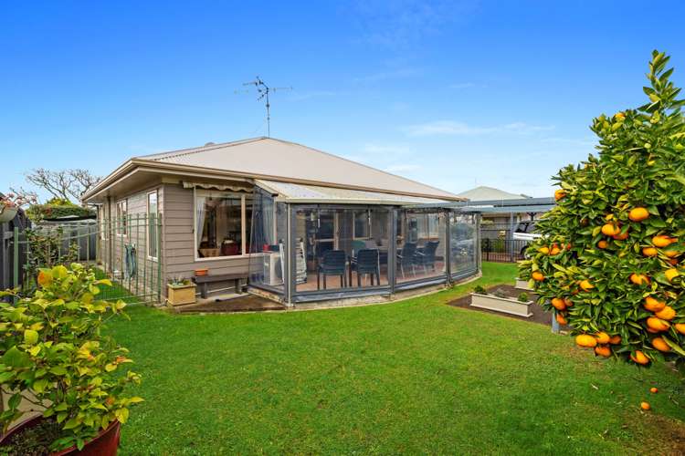 3c Pearsons Avenue Claudelands_11