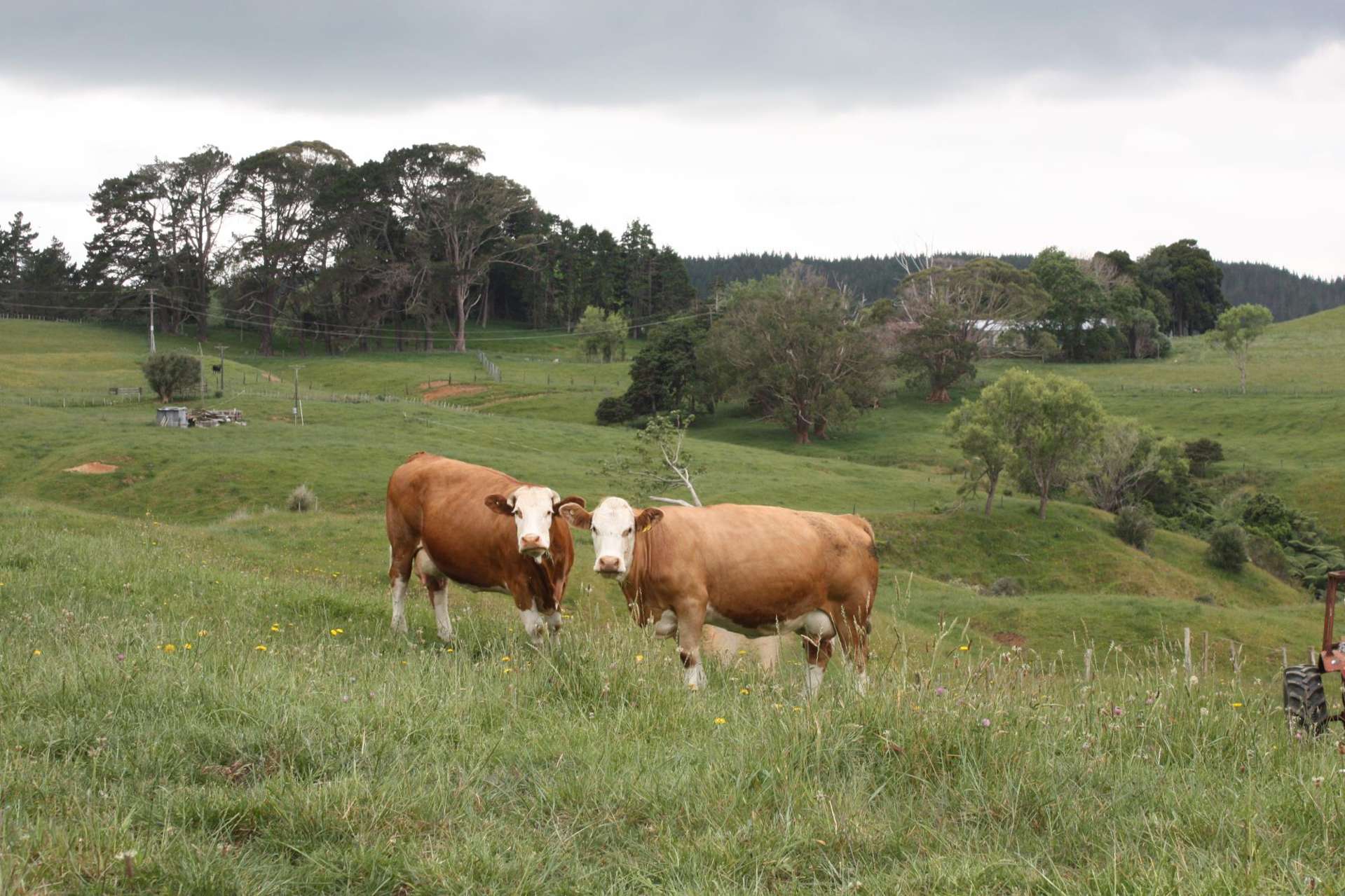 217 Te Akau Road Waingaro_0