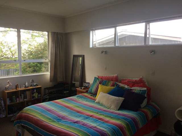 105 Argyll Road Greerton_4