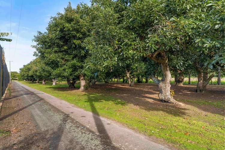 62R Matapihi Station Road Matapihi_40