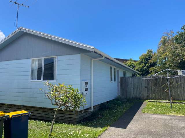 14a Sunray Avenue Titirangi_1