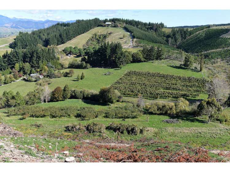 130 Teapot Valley Road Brightwater_8