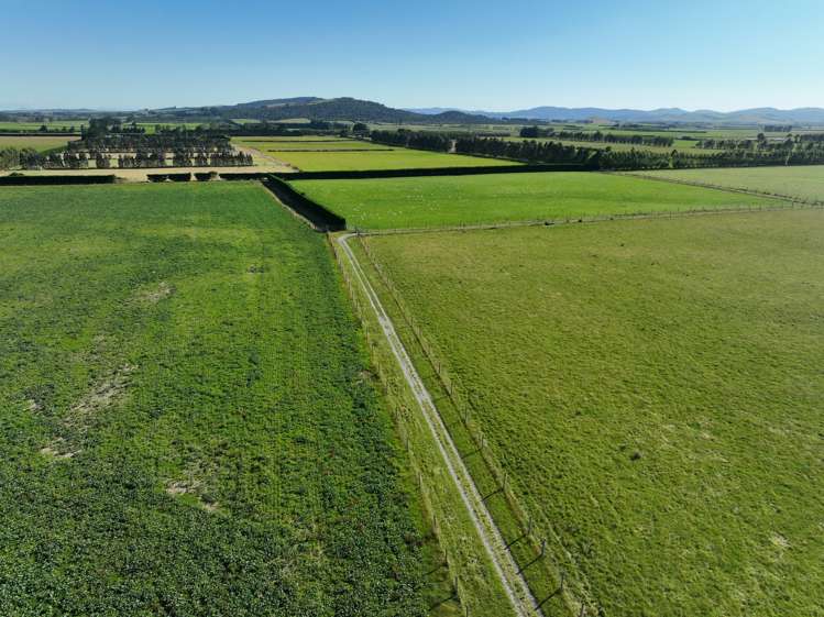 Collinson Road Tussock Creek_5